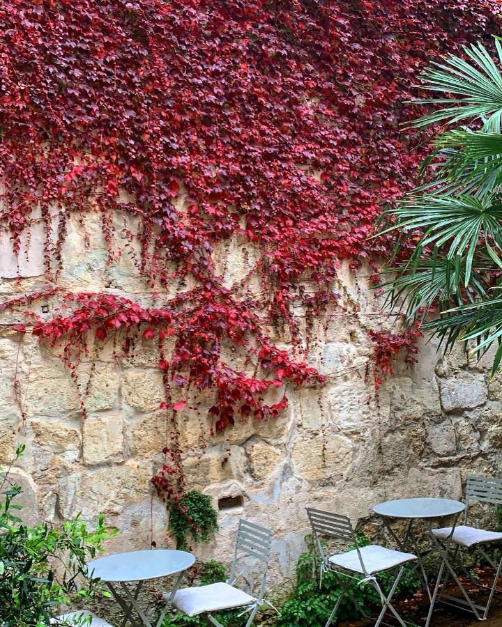 B&B La Maison Galiene 波尔多 外观 照片